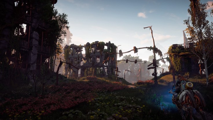 Horizon Zero Dawn™_20170304140612