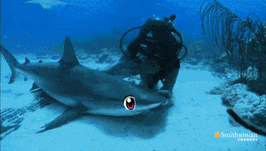 9A1CD09B-6BA0-452A-99D4-A3165027A826